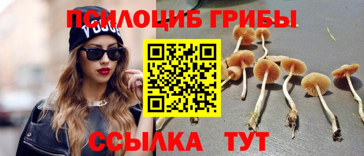 Псилоцибиновые грибы Cubensis Советский