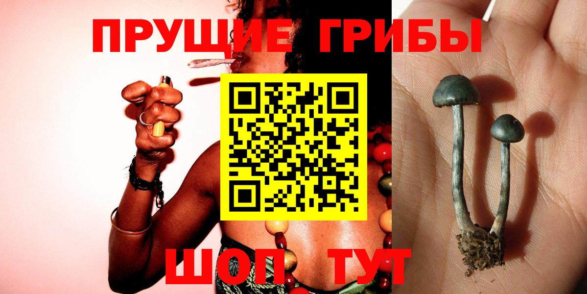Советский  Псилоцибиновые грибы прущие грибы  Псилоцибиновые грибы Psilocybine cubensis  Вход с VPN 